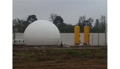 养殖场大中型沼气工程发展趋势探讨